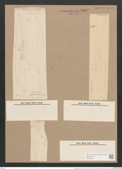 Pleurosigma hippocampus (Ehr.) W.Sm. (de-Toni-Nr.: Genus 13, Species 1056) Zeichnungen Sammlung Grunow Nr. 1903 (NHMW-BOT-W0369022)